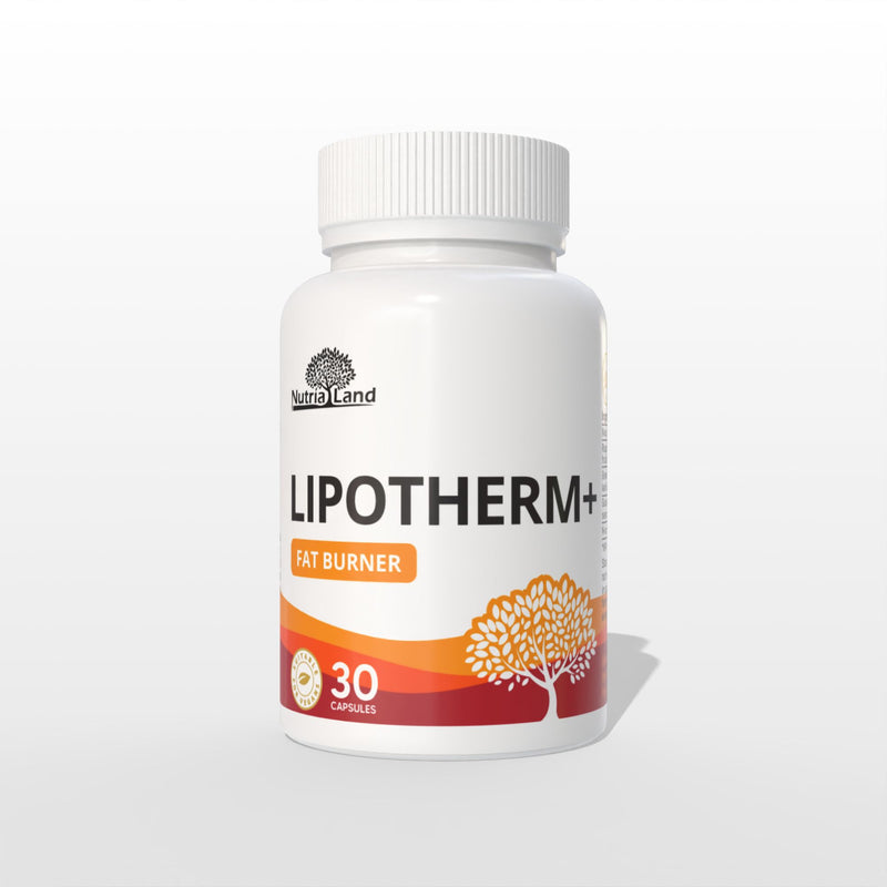 Lipotherm+