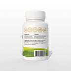 Green Tea Extract